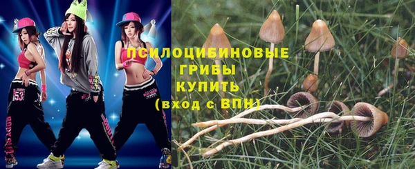 МДПВ Аркадак