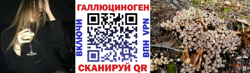 где продают   MEGA как зайти  Псилоцибиновые грибы GOLDEN TEACHER  Киров 